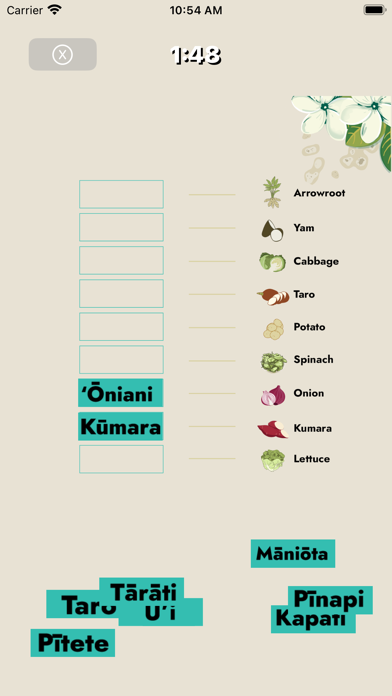 Speak Pacific Screenshot