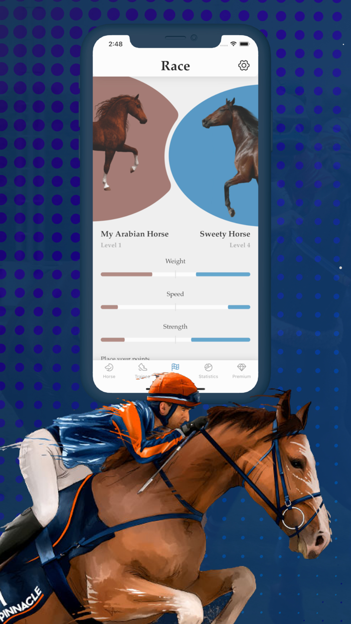 Horse racing - riding and win