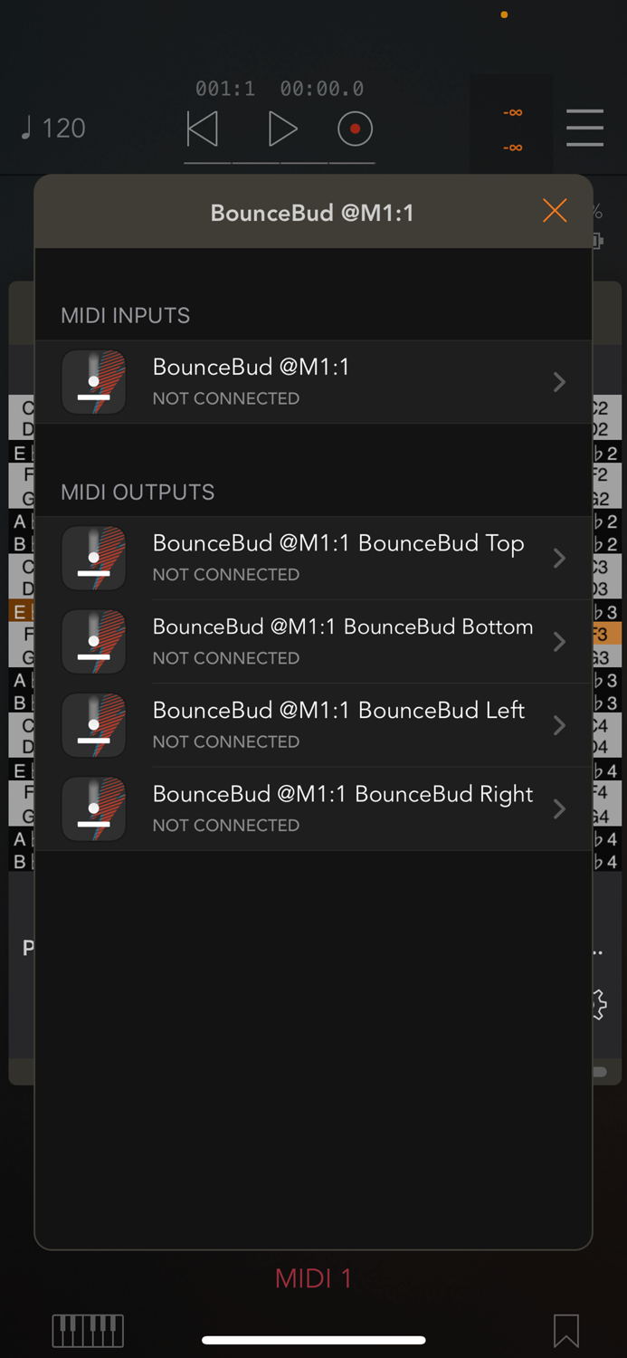 BounceBud Physics Based MIDI