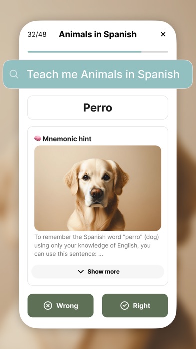 Quiz.bot - Flash cards Maker Screenshot