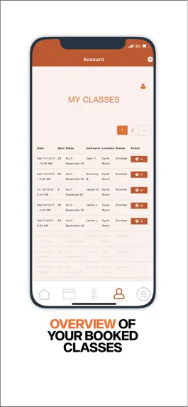 Game screenshot Ally SG hack