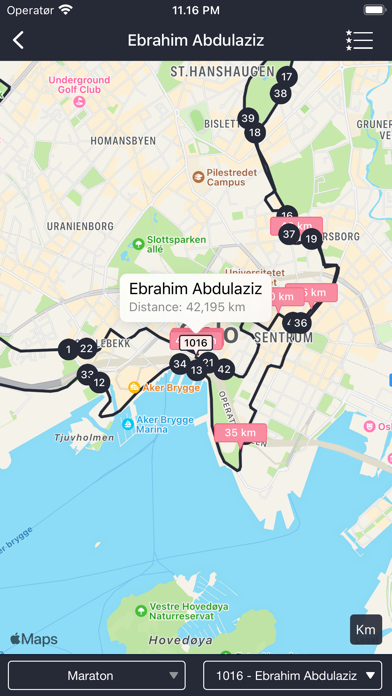 BMW Oslo Maraton Screenshot