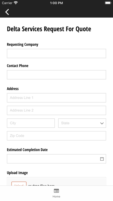 Delta Services Screenshot