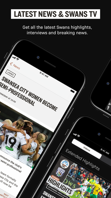 Swansea City Screenshot
