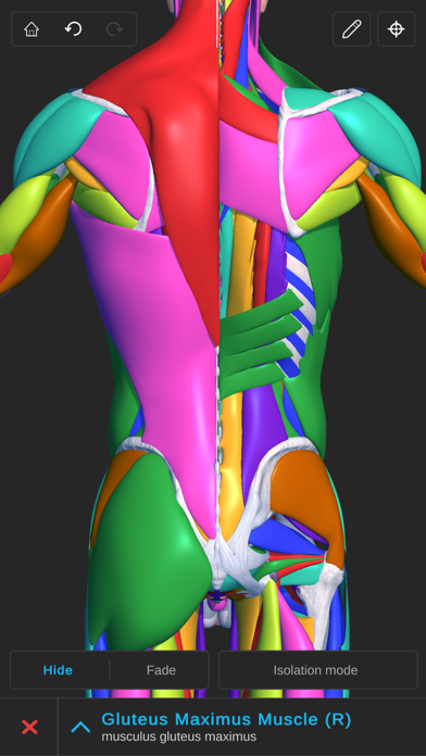 Visual Anatomy 3D - Human Screenshot