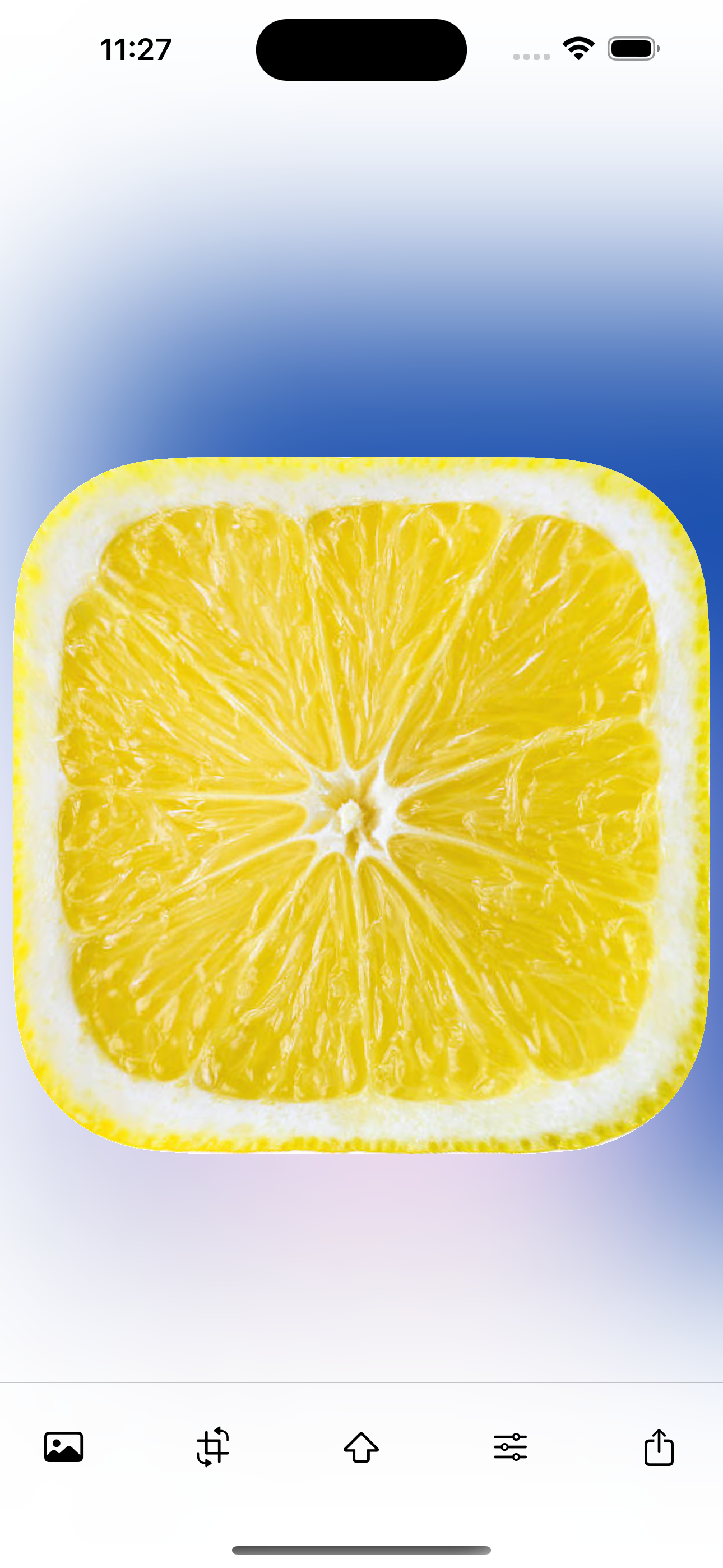 Morphomelon
