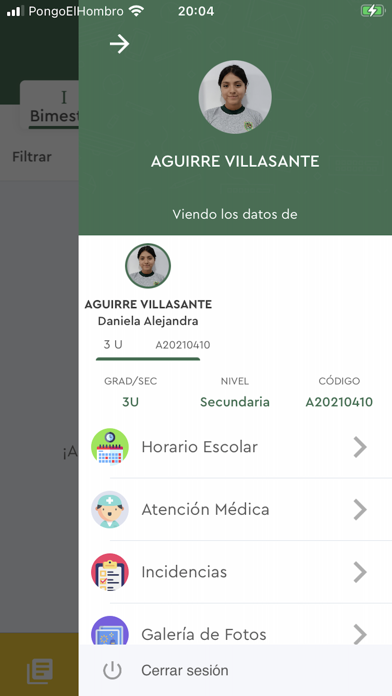 IEP Ns.Sra del Carmen de Palao Screenshot