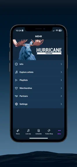 Game screenshot Hurricane Festival hack