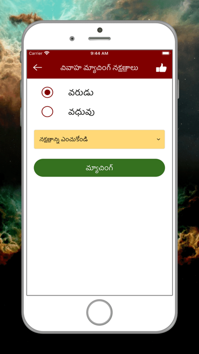 Telugu Calendar Panchangam Appのおすすめ画像9