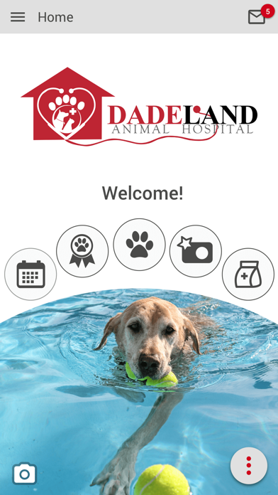 Dadeland Animal Hospital Screenshot