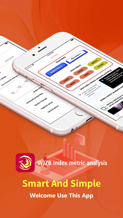 WJZB Index metric analysis Screenshot
