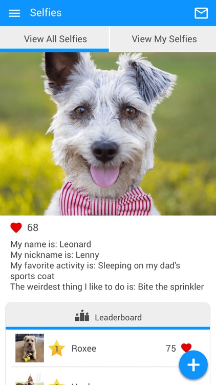 Sullivan Veterinary Service screenshot-3