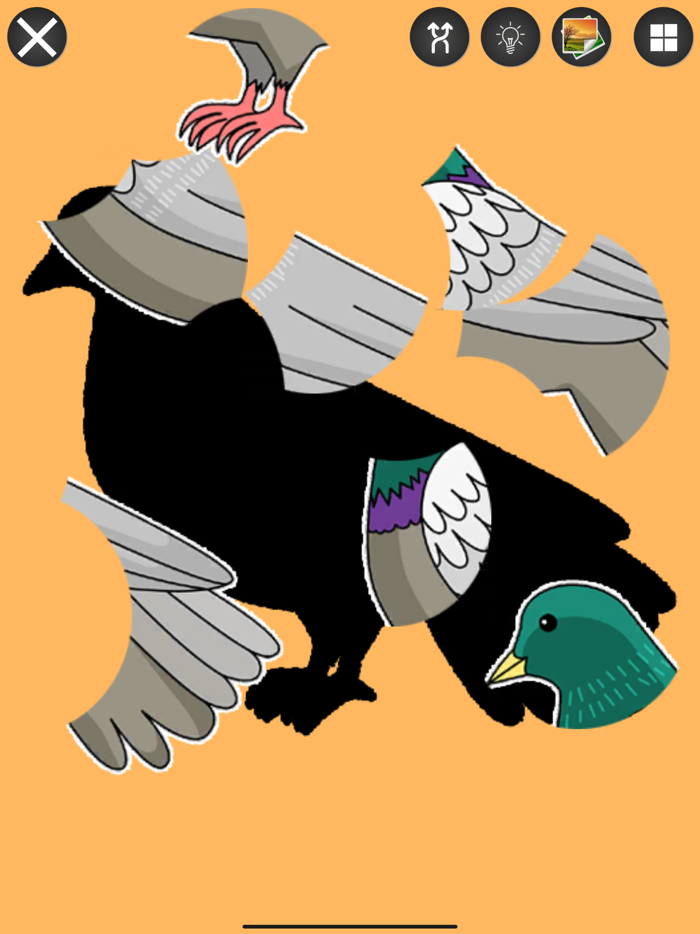 Bird and Animal Puzzle