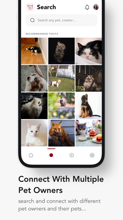 Furddle screenshot-4