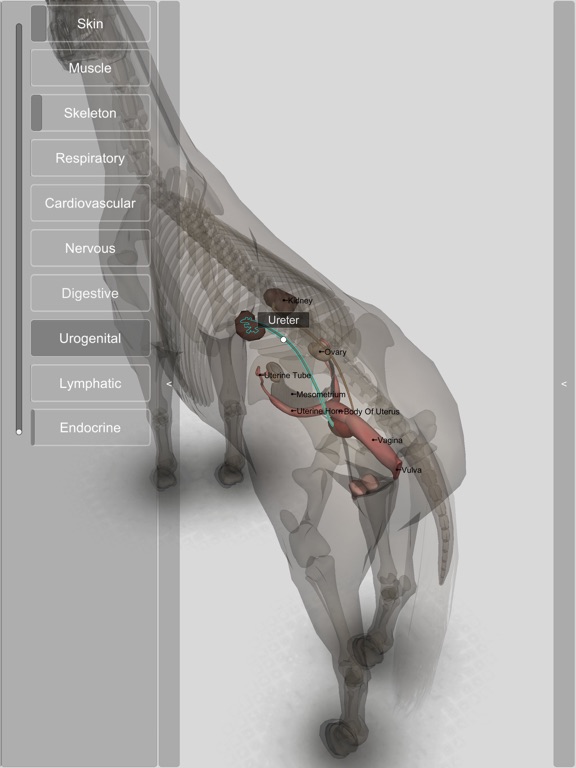 3D Horse Anatomy Softwareのおすすめ画像9