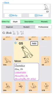 hieroglyph pro iphone screenshot 4