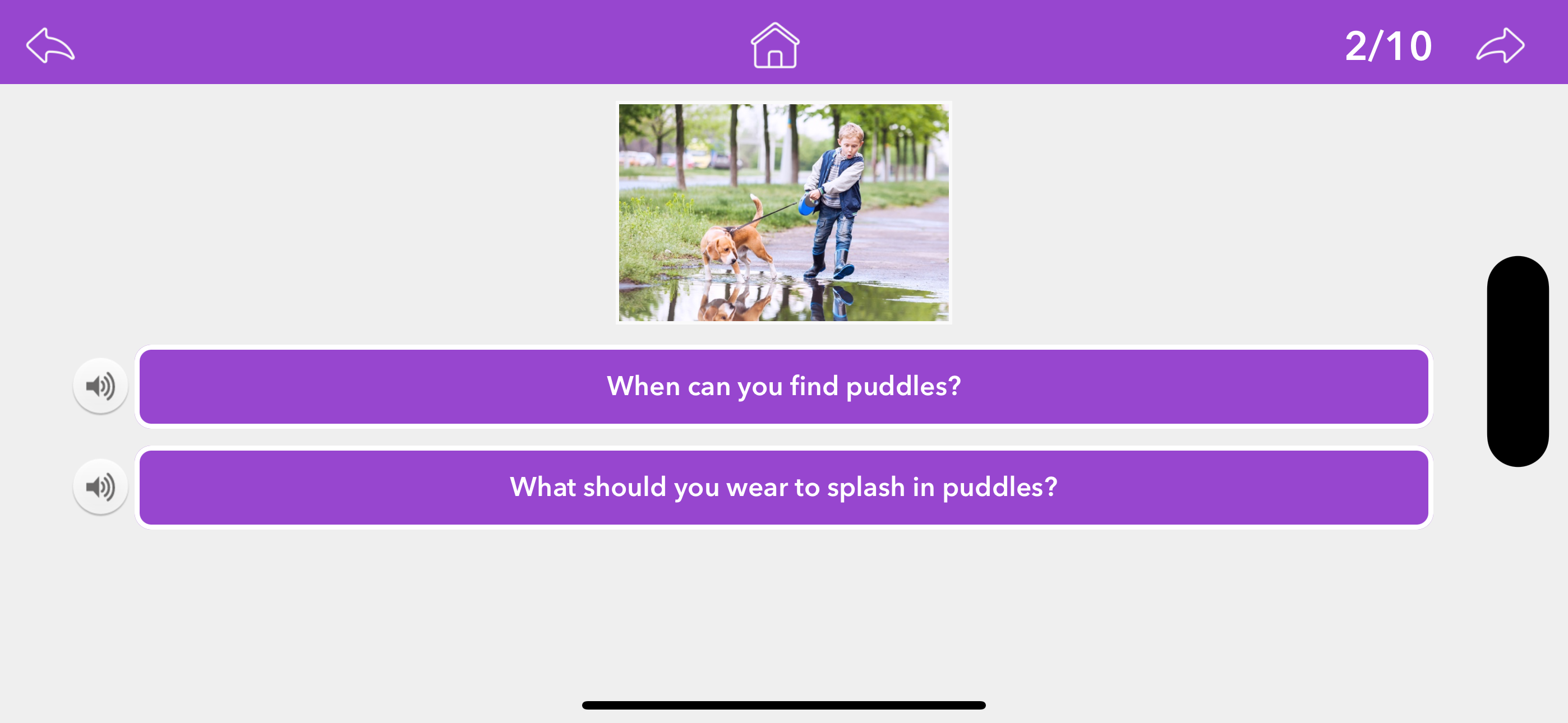 Wh Questions by Teach Speech screenshot 3