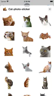 cat photo sticker iphone screenshot 1