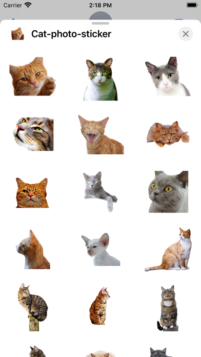 Cat photo sticker Screenshot