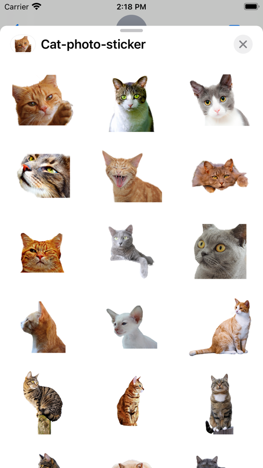 Cat photo sticker - 3.0 - (iOS)