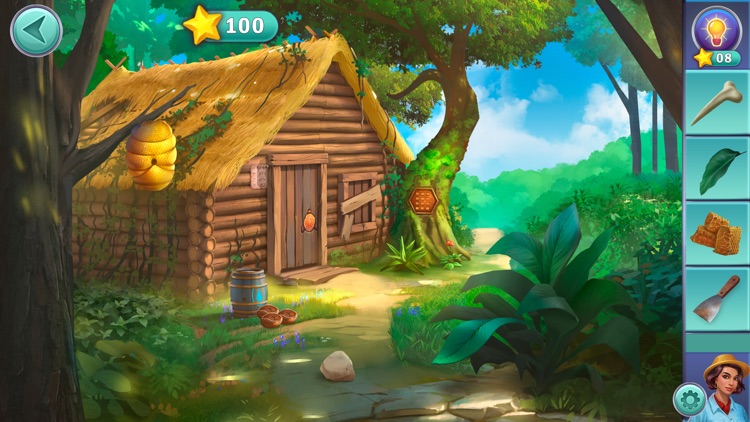 Hidden Escape: Lost Island screenshot-7