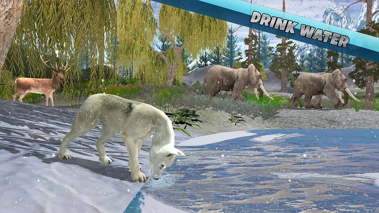 Snow Wolf Family Simulator screenshot-4