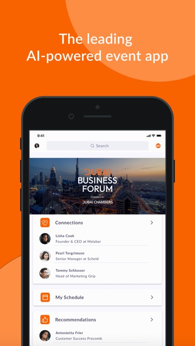 Dubai Business Forum Screenshot