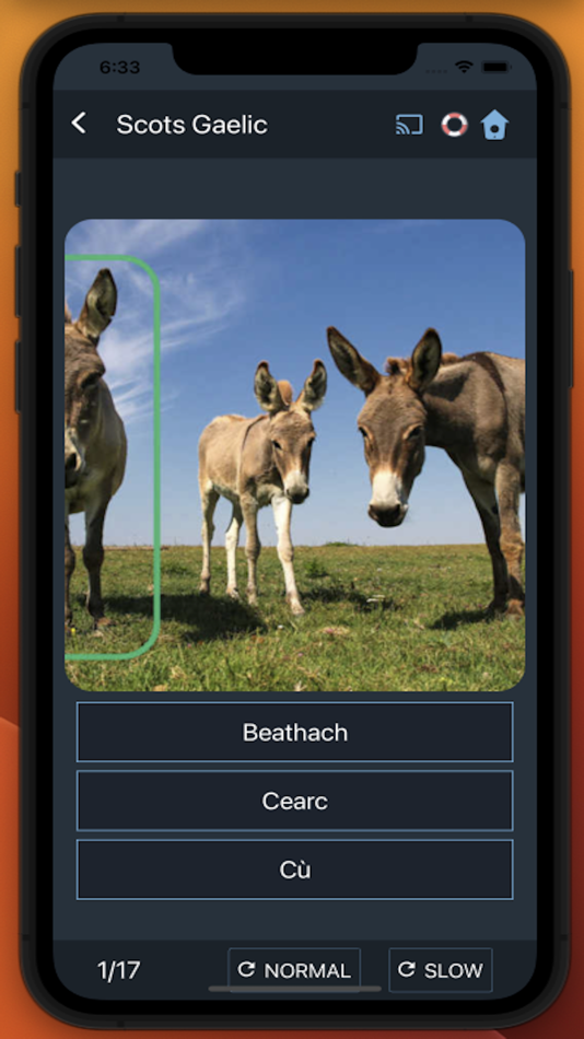 #8. Bluebird: Learn Scots Gaelic (iOS) Podle: Pronunciator LLC