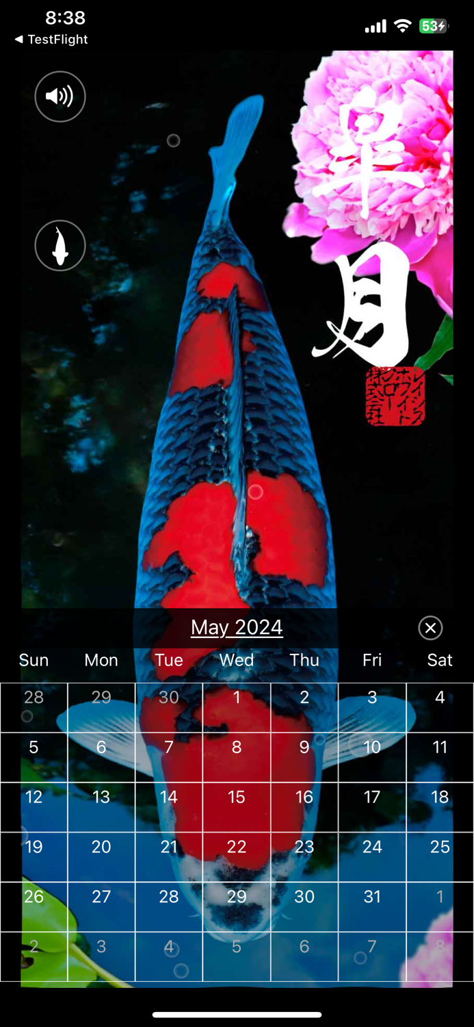 錦鯉四季暦　～にしきごいしきごよみ～