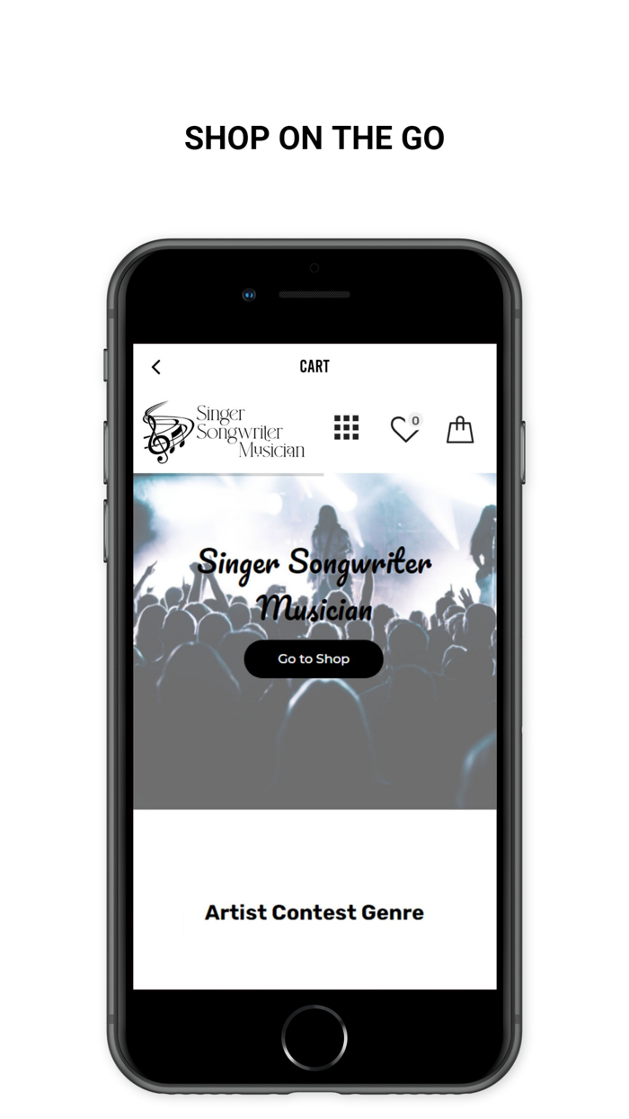 Singer Songwriter Musician