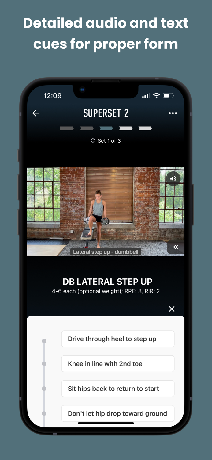 Paradigm of Perfection  Train