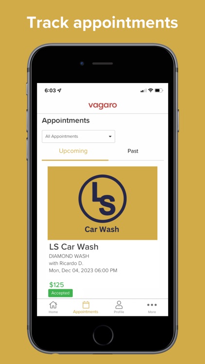 LS Auto Detail screenshot-3