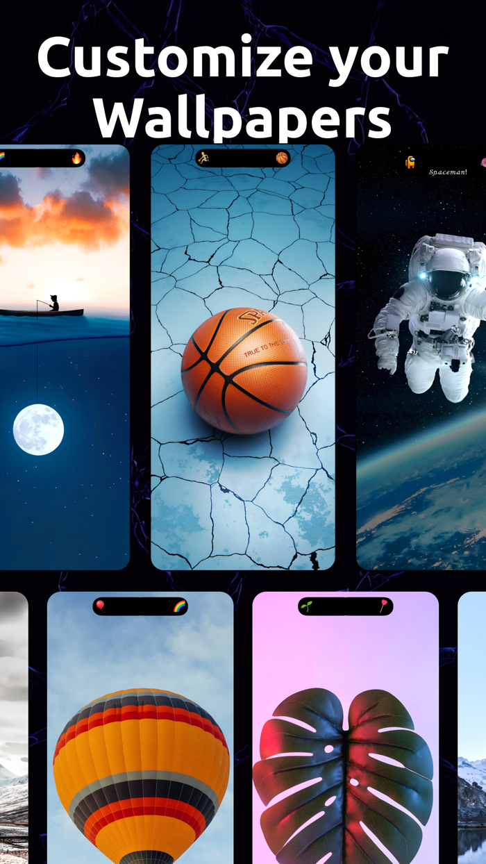 Dynamic Island and Notch - 17