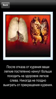 Моя последняя сигарета айфон картинки 3