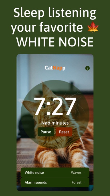 CatNapp - Timer for power naps