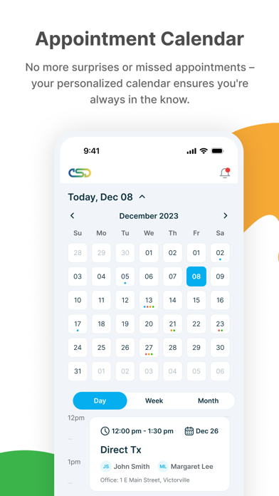 CSD Connect Client Screenshot
