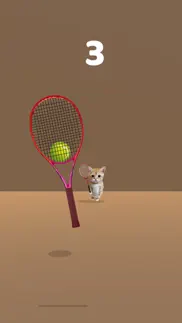 cat tennis - relax challenge problems & solutions and troubleshooting guide - 3