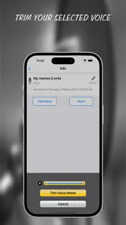 voice recorder-voice memos app iphone screenshot 4