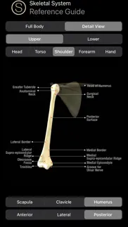 human anatomy study guide iphone screenshot 1