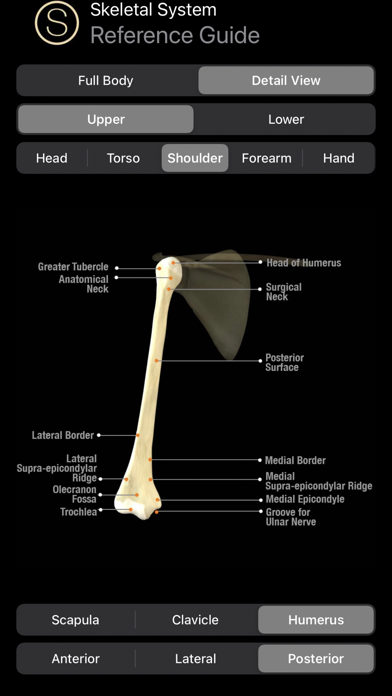 Human Anatomy Study Guide Screenshot