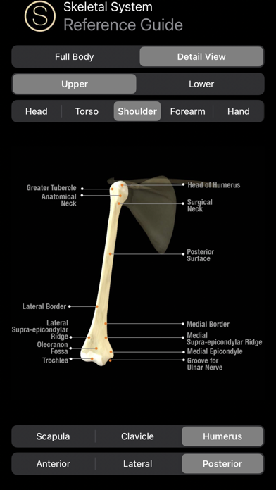 Human Anatomy Study Guideのおすすめ画像1