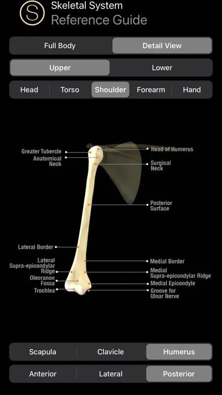 Human Anatomy Study Guide screenshot 1 of 10
