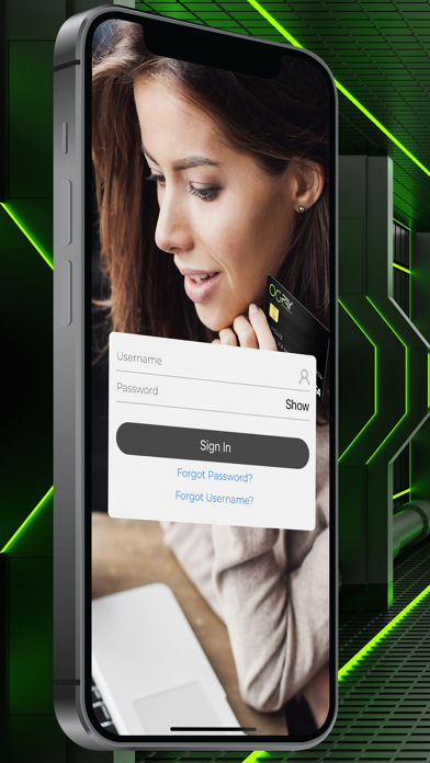 OGPay Business Screenshot