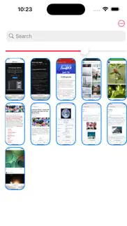 snapmark. screenshot: bookmark iphone screenshot 3