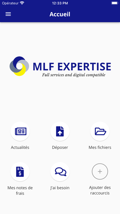 MLF EXPERTISE Screenshot