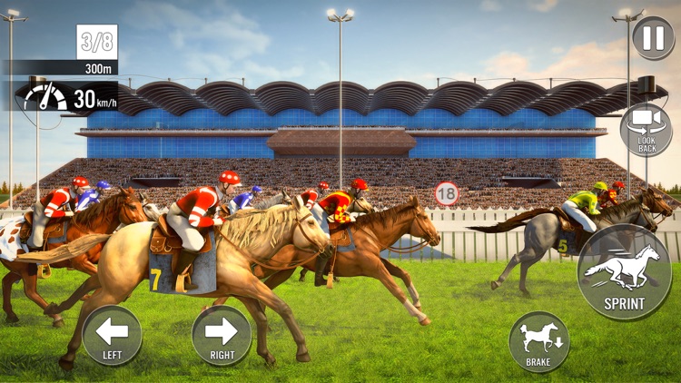 My Stable Horse Racing Games screenshot-6
