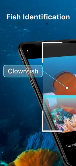 Game screenshot Fish Identifier - Fish ID mod apk