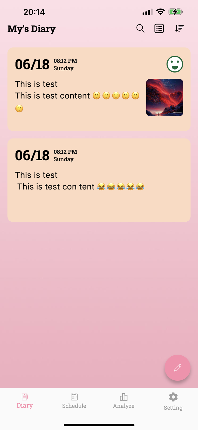 Daily Diary Journal with Lock