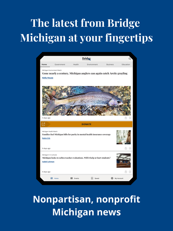 Screenshot #4 pour Bridge Michigan