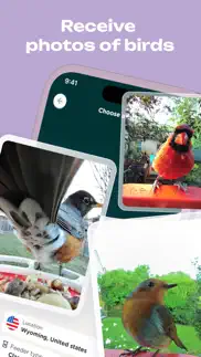 bird buddy: tap into nature iphone screenshot 2